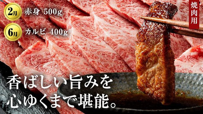 ＼ 選べるスタート月 ／ 【定期便】【全12回】『常陸牛』人気12か月堪能セット 牛肉 肉 お肉 国産 国産牛 ヒレ ステーキ ハンバーグ サーロイン 赤身 切り落とし 霜降り カルビ すき焼き しゃぶしゃぶ 和牛 黒毛和牛 (茨城県共通返礼品) [BX20-111-NT]