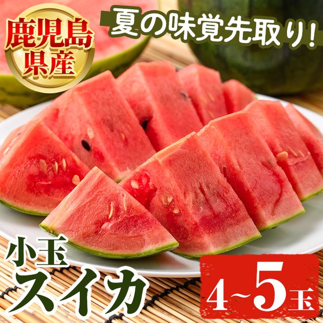 ＜先行予約受付中！2026年5月下旬以降順次発送予定＞鹿児島県産 小玉スイカ(4～5玉) 国産 果物 スイカ すいか 西瓜 フルーツ スイーツ スムージー ジュース 期間限定【松永青果】akn053-25