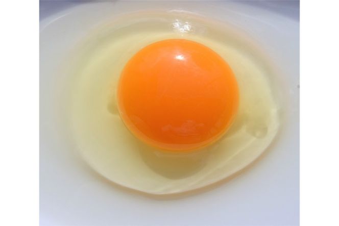 卵 こだわりの卵かけご飯 セット 穂坂のあかたま 10個 2パック 武川米 450g 3袋 [ハイチック 山梨県 韮崎市 20745484] たまご タマゴ あかたま あかいろ 米 お米 コメ ご飯 たまごかけご飯