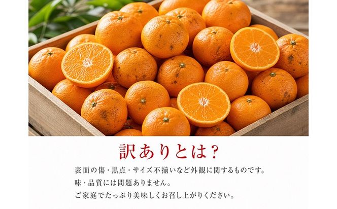 【訳ありご家庭用】和歌山有田みかん10kg 2S～2L サイズ混合 魚鶴商店《11月下旬-12月下旬頃出荷》 和歌山県 日高川町 みかん 柑橘 訳アリ ご家庭用---wshg_uot233_11g12g_26_14000_10kg---