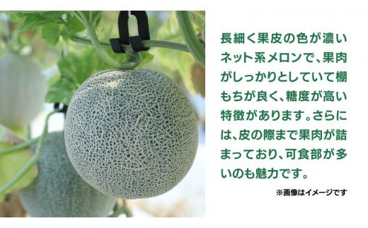 《 先行予約 》茨城県産 タカミ メロン 3L 4玉 ( 約 4.5kg ) 【 2026年6月初旬発送開始 】 タカミメロン たかみメロン 果物 フルーツ 青肉 めろん 大玉 3Lサイズ 期間限定 旬 国産 貴味メロン [DV010us]