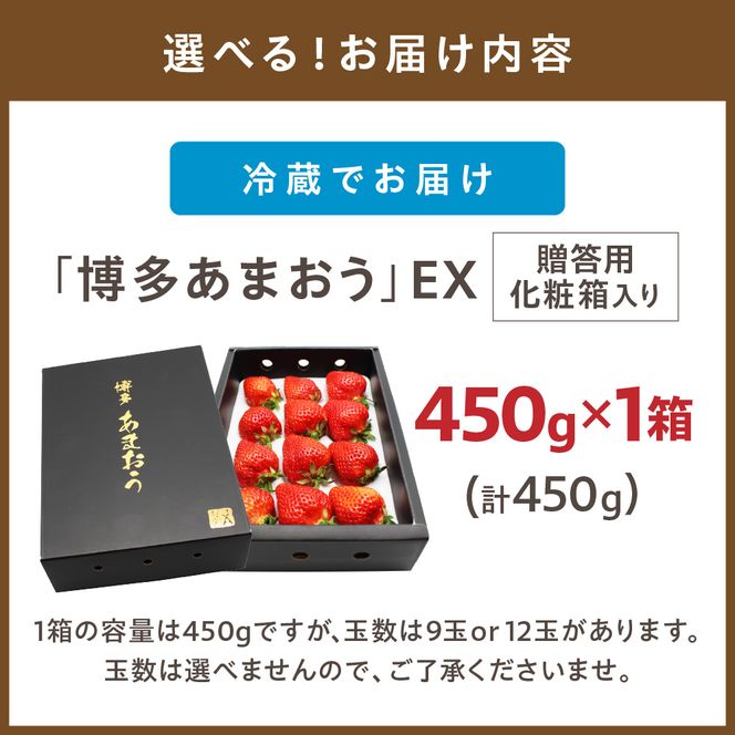 1月より順次発送!「博多あまおう」EX　贈答用化粧箱　約450g 1箱【ほたるの里】_HA0752