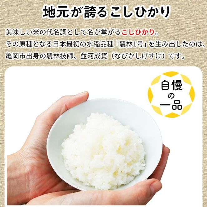 【12月末まで】【毎月1回お届け】【定期便】令和7年産 新米 京都丹波米 こしひかり10kg×12回 計120kg 米 12ヶ月 白米 12回定期便 ※精米したてをお届け コシヒカリ ※北海道・沖縄・離島への配送不可