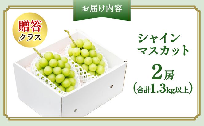 ぶどう 2026年 先行予約 プレミアム シャインマスカット 2房（合計1.3kg以上） 大粒 大房 贈答クラス  ブドウ 葡萄  岡山県産 国産 フルーツ 果物 ギフト OEC KINGDOM ぶどう家 果物類 