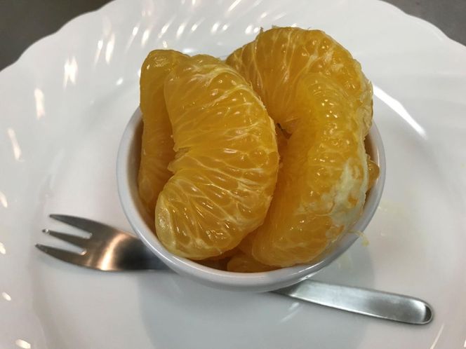 化粧箱 小箱 手詰め 有田 はっさく 特秀 大玉 2L サイズ × 4玉入 南泰園 みかん BS700