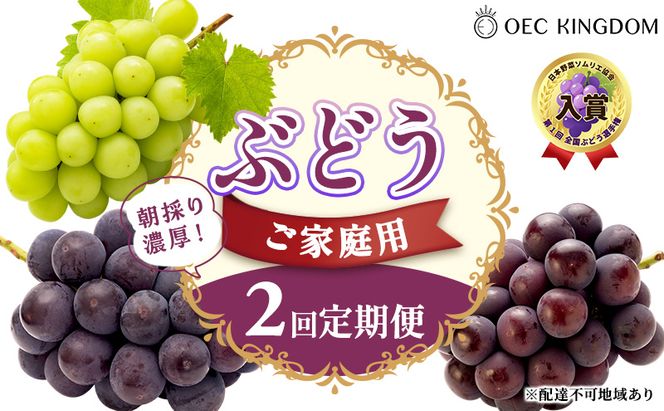 ぶどう 2026年 先行予約 ご家庭用 2回 定期便 ピオーネ オーロラブラック シャインマスカット ブドウ 葡萄 岡山県産 国産 フルーツ 果物 ギフト OEC KINGDOM ぶどう家 果物類