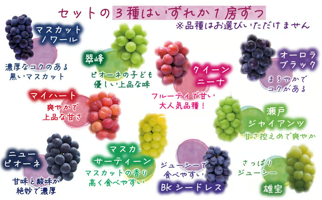 【2026年先行予約】岡山　花笑み農園のブドウ『食べ比べ４種セット』シャインマスカット入り　2kg（4房） 【hana019-02】
