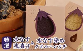 099H4573 水なす浅漬け 5個 水なす染めタオルハンカチセット【新鮮 野菜 泉佐野産 茄子 やさい 高評価 数量限定】