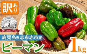 志布志産訳ありピーマン(1kg) p5-050