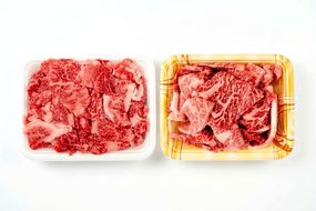 【但馬牛スライス&但馬牛焼肉用切り落とし 計500g（スライス切り落とし250g・焼肉用切り落とし250g）】冷凍  但馬牛 和牛 国産 大人気 人気 おすすめ ランキング 牛肉 スライス しゃぶしゃぶ すき焼き 肉じゃが ステーキ 焼肉 BBQ 肉 小分け 便利 但馬 兵庫県 但馬牛 JAたじま肉の店本店 72-22