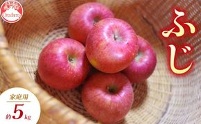 【2026年11月～発送】ふじ 家庭用 約5kg りんご リンゴ 林檎 果物 フルーツ 長野県 長野 山ノ内町