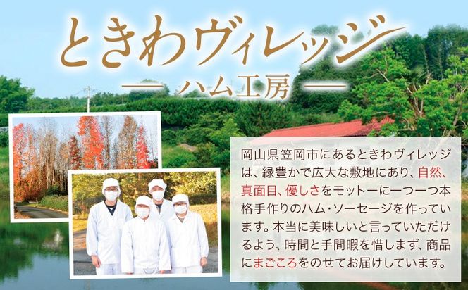 ローストビーフ 冷凍 惣菜 特製ローストビーフ 300g 社会福祉法人敬業会ヴィレッジ興産 ときわヴィレッジ《30日以内に出荷予定(土日祝除く)》岡山県 笠岡市 送料無料 惣菜 冷凍 肉 加工品 お祝い 記念日---K-34---