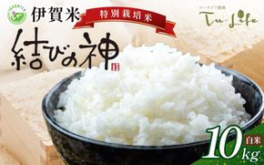 特別栽培米・伊賀米結びの神 10kg【tuli0004A】