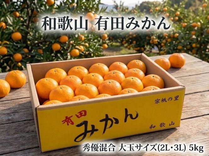 ［大玉サイズ(２Ｌ・３Ｌ）・秀／優混合］早生みかん≪5kg≫和歌山有田産！［予約販売］［数量限定］まる隆果樹園 	CS017
