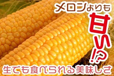 予約受付！＜朝採れ！国富町産ゴールドラッシュ4.5kg2Lサイズ13本＞2026年5月下旬～7月上旬迄に順次出荷【 とうもろこし スイートコーン 先行予約 野菜 穀物 甘い トウモロコシ 季節物 数量限定 とうきび コーン 】【a0578_sn】