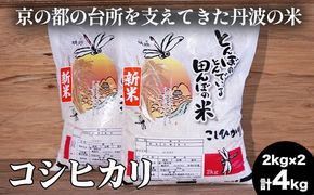 【数量限定】新米 令和6年度産 コシヒカリ 2kg×2 計4kg 精米 コメ 送料無料 ごはん 白米 ご飯 国産 こしひかり