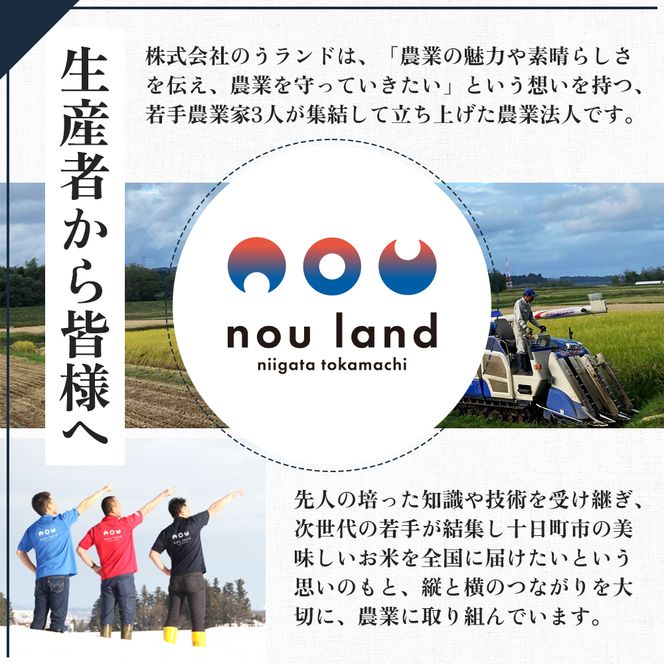【先行予約】令和8年産 定期便 新之助精米5kg×6カ月