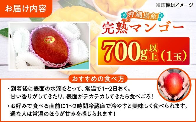 【最優秀賞受賞】沖縄県産 完熟マンゴー 大玉 1個入り マンゴー 沖縄 果物 フルーツ ギフト 沖縄市 / MAIFARM[BCAN005]