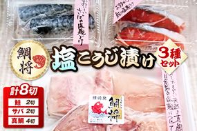 【道の駅むなかた】 鯛将 塩こうじ漬け３種詰合せ（鮭２切、サバ２切、真鯛４切）_HA1505