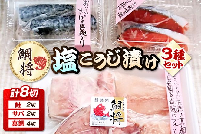 【道の駅むなかた】 鯛将 塩こうじ漬け３種詰合せ（鮭２切、サバ２切、真鯛４切）_HA1505