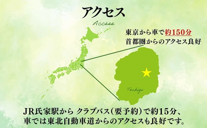 セブンハンドレッドクラブ　《土日祝》１日貸切利用券　ゴルフ　フットゴルフ　イベント　スポーツ　ゴルフ場　プレー券　利用券　利用クーポン　チケット　貸し切り　栃木県　さくら市　キャプテン翼