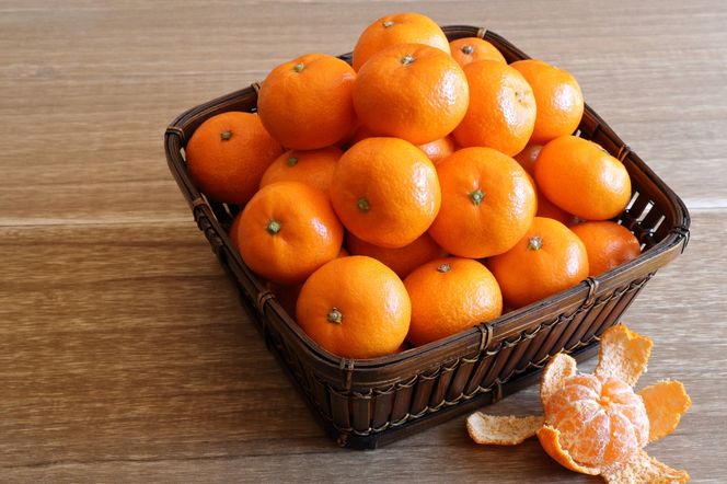 【先行予約・年内配送】令和7年12月中出荷/荒木一番みかん約5kg _1271R-1