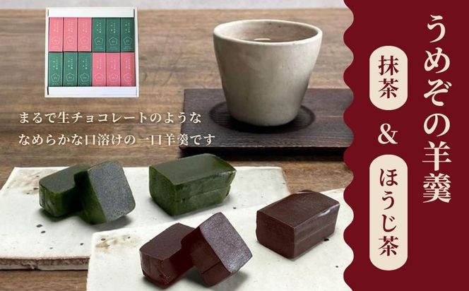 【甘党茶屋京梅園】うめぞの羊羹12本入り［ 京都 お菓子 和菓子 スイーツ 人気 おすすめ おいしい ギフト お取り寄せ 通販 送料無料 ふるさと納税 ］ 261009_B-HR07