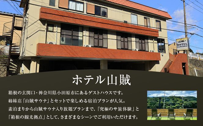山賊ホテル宿泊券＆山賊サウナ入り放題（1名様分） 142069_JV006
