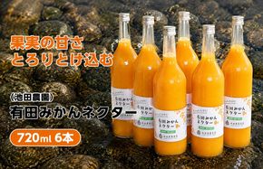 みかん ネクター 100％ ジュース / 温州みかん 有田みかん 果汁 無添加 柑橘 和歌山 20000円 720ml ※北海道・沖縄・離島への配送不可 //drink【ikd100-to720-6】