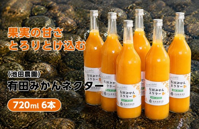 みかん ネクター 100％ ジュース / 温州みかん 有田みかん 果汁 無添加 柑橘 和歌山 20000円 720ml ※北海道・沖縄・離島への配送不可 //drink【ikd100-to720-6】