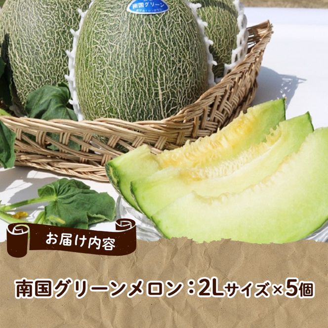 ＜先行予約受付中！2026年6月以降順次発送予定＞鹿児島県産！南国グリーンメロン(2Lサイズ×5個) メロン めろん 果物 スイーツ デザート フルーツ 【あくね旬の店いきいき館】akn015-19