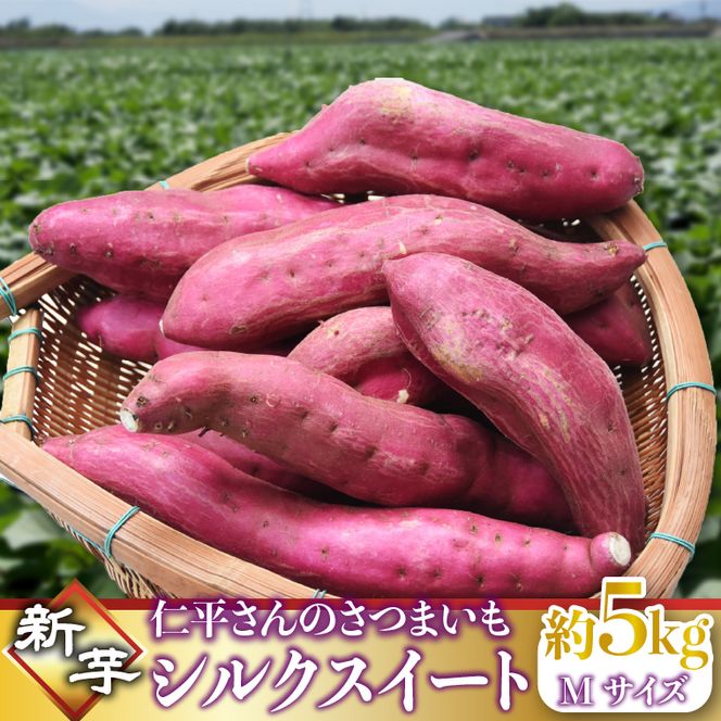【2026年9月より順次発送】仁平さんの新芋シルクスイート 約5kg(Mサイズ・洗い)｜さつまいも サツマイモ さつま芋 いも シルクスイート 新芋 茨城県 行方市(CH-4)