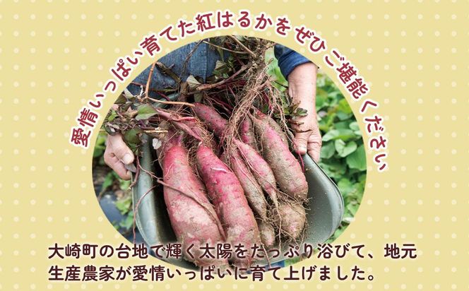【先行予約】訳アリ！紅蜜芋　紅はるか　2kg 464686_YF001