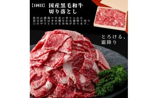 【定期便 全2回】国産 黒毛和牛2種お楽しみ定期便(計1.9kg) t0029-001