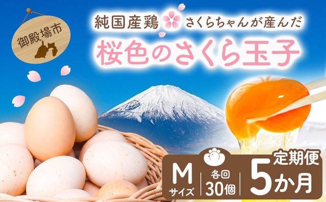 【定期便5ヵ月】純国産鶏さくらちゃんが産んだ桜色のさくら玉子 五分咲き（Mサイズ）30個 ｜ 卵 鶏卵 たまご タマゴ 生卵 たまごかけご飯 濃厚 甘み 国産