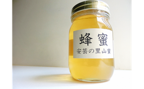 安芸の里山蜜 500g はちみつ 国産 天然 純粋 蜂蜜 百花蜜 花はちみつ 生はちみつ 非加熱 ハチミツ 無添加 自然 里山 天然はちみつ 数量限定 安芸駅 ぢばさん市場 おすそ分け 安芸市 高知県 ギフト プレゼント 贈り物 安芸市 高知県