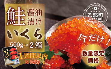 【数量限定 特別価格】鮮度にこだわった＜笹谷商店 いくら　２パック（500ｇ×２）１ｋｇ＞絶品の醤油タレで漬けたいくら（検索：いくら イクラ 鮭いくら 鮭イクラ 醤油いくら 醤油イクラ いくら丼 いくら醤油漬け イクラ醤油漬け 秋鮭 国産 北海道産 北海道乙部町 日本海 冷凍 人気 訳あり 定額減税 使い道 ふるさと納税）