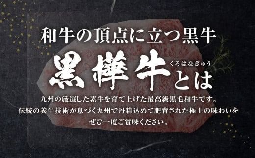 黒樺牛 肉厚サーロインステーキ 約600g （約300g×2パック） お肉 肉 牛肉 ブランド黒毛和牛 和牛 黒毛和牛 ブランド牛 サーロイン ステーキ ロースステーキ 冷凍 国産 九州産 冷凍