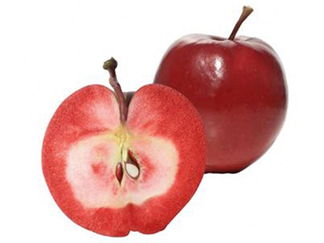 風丸農場 千雪りんごと赤いりんごのジュース 無添加 青森県産 180ml 各4本 計8本セット 飲料類 果汁飲料 りんごジュース 