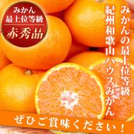 赤秀品 紀州和歌山ハウスみかん 2.5kg［2026年6月末頃～2026年7月中旬頃に順次発送］［UT87］ AN006