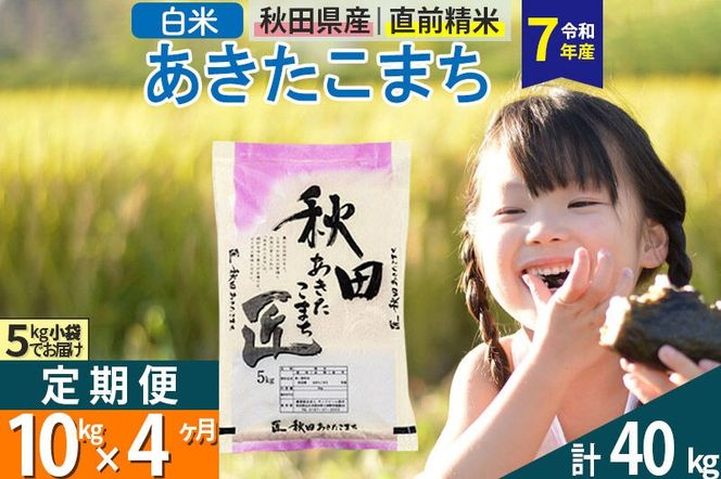 【白米】＜令和7年産＞ 《定期便4ヶ月》秋田県産 あきたこまち 10kg (5kg×2袋)×4回 10キロ お米 匠  [サンファーム西木 定期便 お米定期便 白米 あきたこまち ごはん 米 お米 精米10kg]|02_snk-010604s