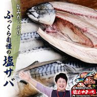 橋立やまいち旨みたっぷりふっくら自慢の塩サバ 魚貝類 加工食品 鯖 さば 冷凍 冷蔵  myz02 myz11 myz17