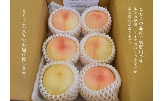 旬の桃の食べ比べを楽しむ、桃の２回便！(定期便) (岡山県産) きよとうファーム 【2026年先行予約】【KF-T025-01】