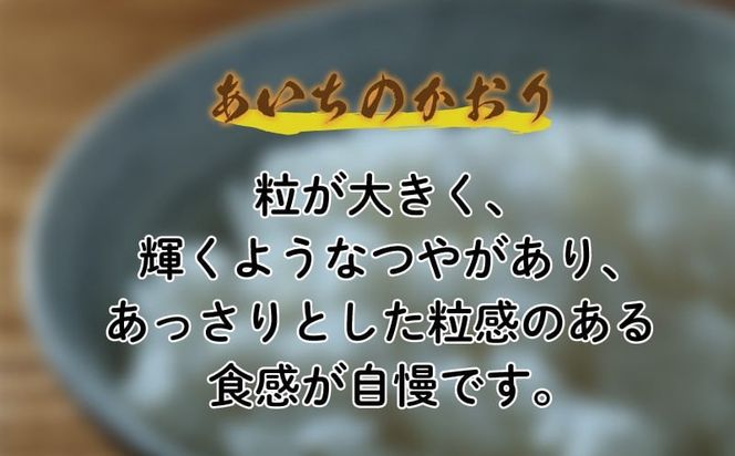 知多米 選べる こしひかり あいちのかおり 5kg 米 コシヒカリ 愛知 知多 特産品 南知多