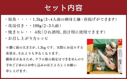 国産養殖！とらふぐ簡単調理で味わえるセット 吉宝ふぐ 1.3kg ふぐ 河豚 フグ とらふぐ トラフグ 簡単調理 刺身 鍋 から揚げ ひれ酒 出汁 3～4人前 熊本県 上天草市 【2025年10月下旬から2026年4月上旬発送開始】