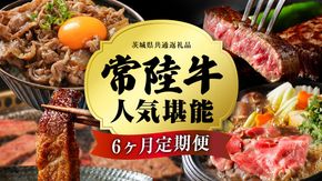 ＼ 選べるスタート月 ／【 定期便 全6回 】 常陸牛 人気 6ヶ月 堪能セット 牛肉 肉 お肉 国産 国産牛 赤身 切り落とし すき焼き しゃぶしゃぶ サーロインステーキ ステーキ カルビ 焼肉 焼き肉 和牛 黒毛和牛 (茨城県共通返礼品) [ BX19-56-NT ]