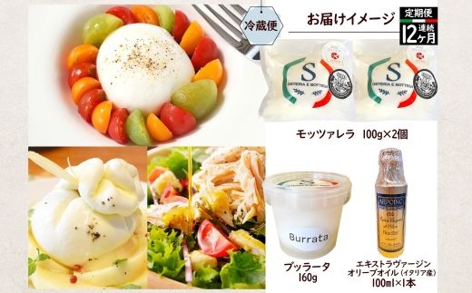 【ふるさと納税】12ヶ月定期便 フレッシュチーズ 2種 オリーブオイル セット モッツァレラ 100g 2個 ブッラータ 160g 1個 オリーブオイル 100ml チーズ おつまみ 送料無料 神奈川県 茅ヶ崎市