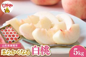 【令和8年産先行受付】 東根市産白桃　秀品 柔らかくなる桃 約5kg ベジフルひがしね 山形県 東根市 hi104-006