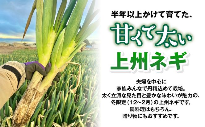 【先行予約】群馬県産 上州ネギ 泥付き6㎏ ANBQ001