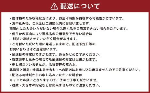 【数量限定】 福岡県産 あまおう 冷凍 約2kg 500g×4袋 【2025年4月下旬-11月下旬発送予定】特別栽培 いちご 苺 イチゴ ベリー 果物 フルーツ お取り寄せ デザート おやつ